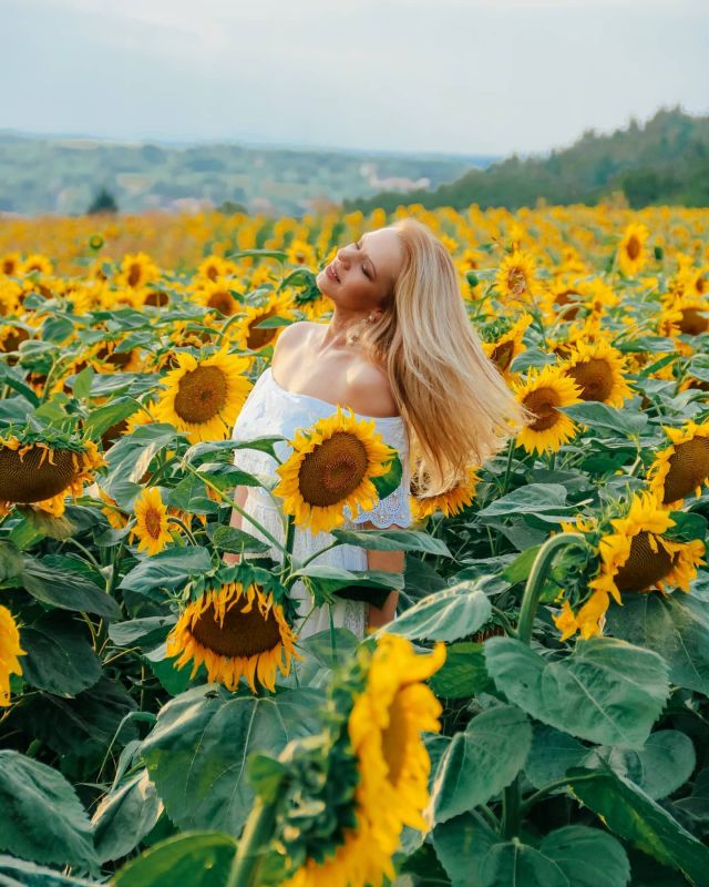 🌻 𝐴 𝑠𝑢𝑛𝑓𝑙𝑜𝑤𝑒𝑟 𝑓𝑖𝑒𝑙𝑑 𝑖𝑠 𝑙𝑖𝑘𝑒 𝑎 𝑠𝑘𝑦 𝑤𝑖𝑡ℎ 𝑎 𝑡ℎ𝑜𝑢𝑠𝑎𝑛𝑑 𝑠𝑢𝑛𝑠.🌻
⁣
✄﹘﹘﹘﹘﹘﹘﹘﹘﹘﹘﹘﹘﹘﹘
#sunflowerfields #sunflowers #portraitphotography #magyarlanyok #hungariangirl #napraforgó #napraforgo #sheisnotlost #journeysofgirls #topeuropephoto #igbudapest #budapeste #hungary_gram #hungary🇭🇺 #ighungary #magyarinsta #magyarország #darlingescape #dametravel #damestravel #followmeto #femmetravel #thetravelwomen #wearetravelgirls #girlaroundtheworld #prettylittletrips #travelgirlsgo #womantravel #travelgirls #travelgirlshub